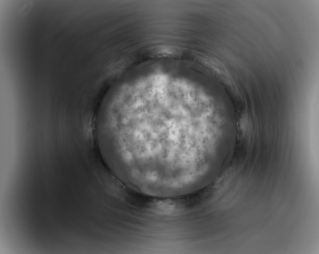 X0000096170423200802151438