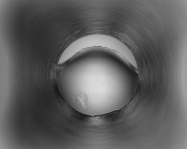 X0000096170425200802151438