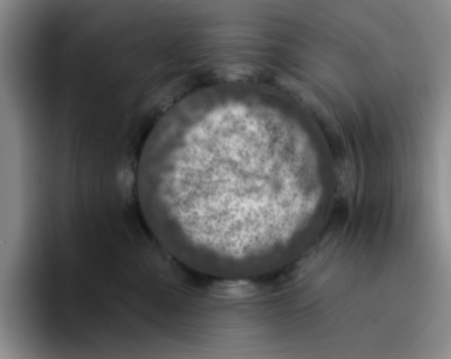 X0000096170427200802151438