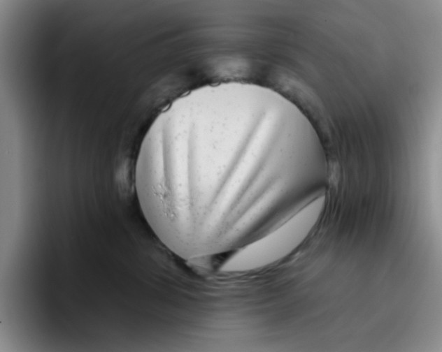 X0000096170428200802151438