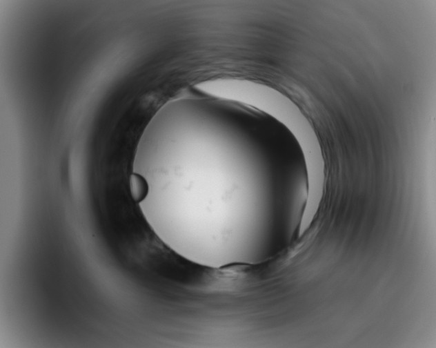 X0000096170429200802151438