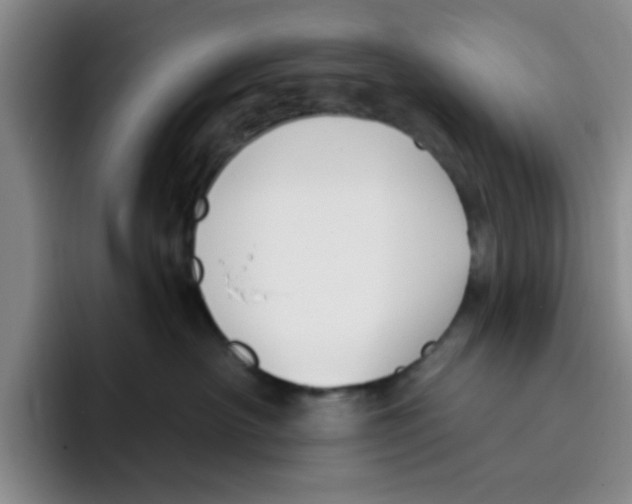 X0000096170430200802151438