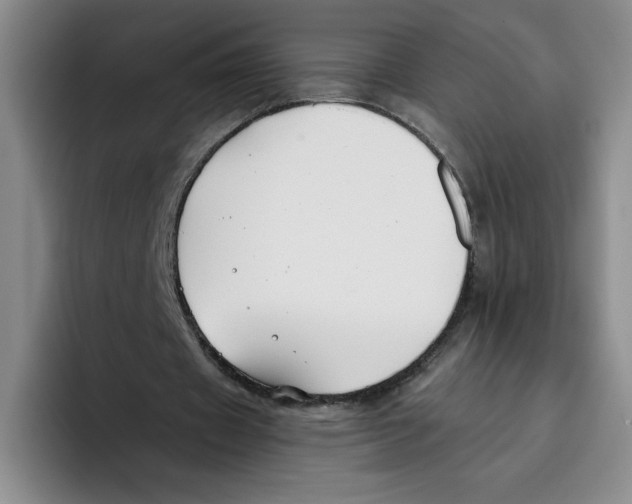 X0000096170433200802151438