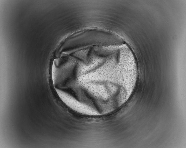 X0000096170434200802151438