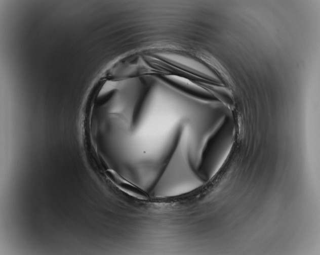 X0000096170436200802151438