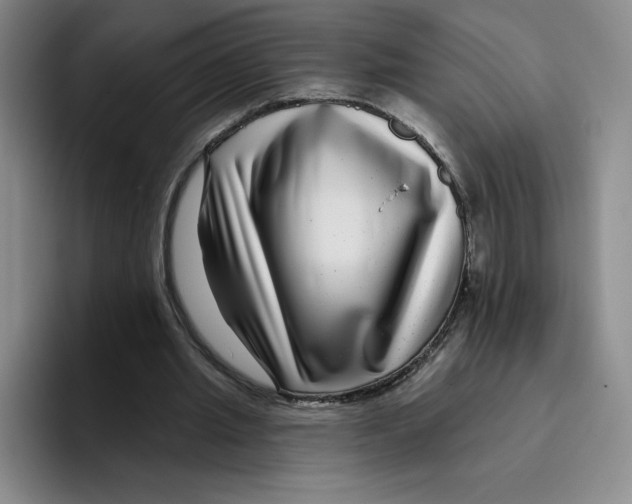 X0000096170437200802151438