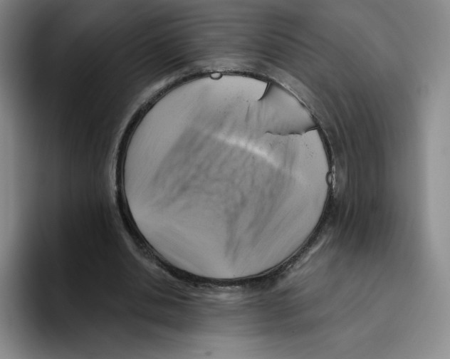 X0000096170438200802151438