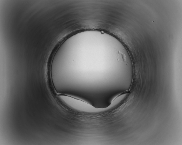 X0000096170439200802151438