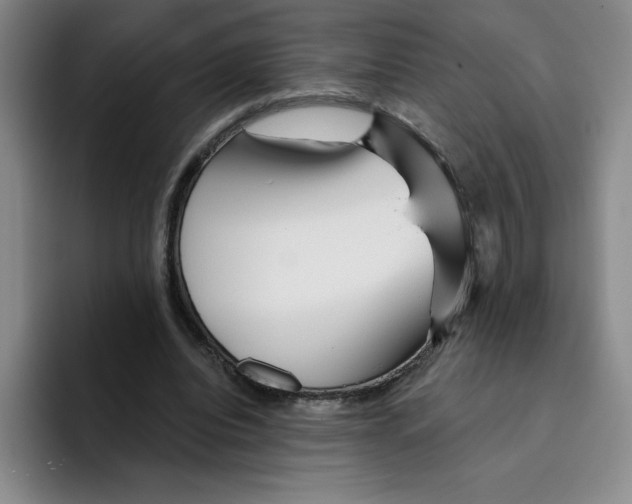 X0000096170440200802151438