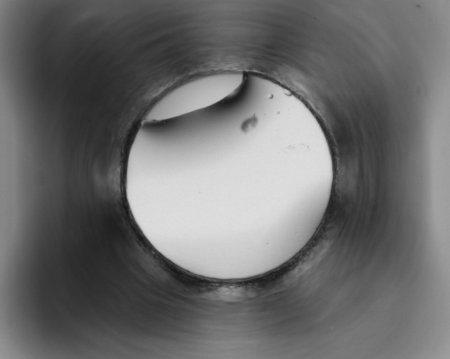 X0000096170441200802151438