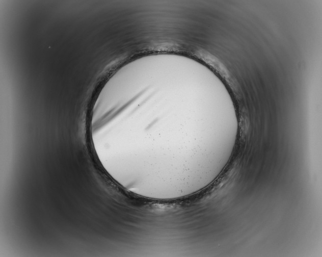 X0000096170442200802151438