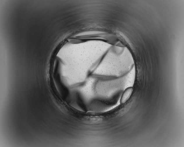 X0000096170443200802151438