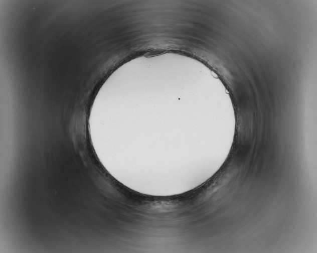 X0000096170445200802151438