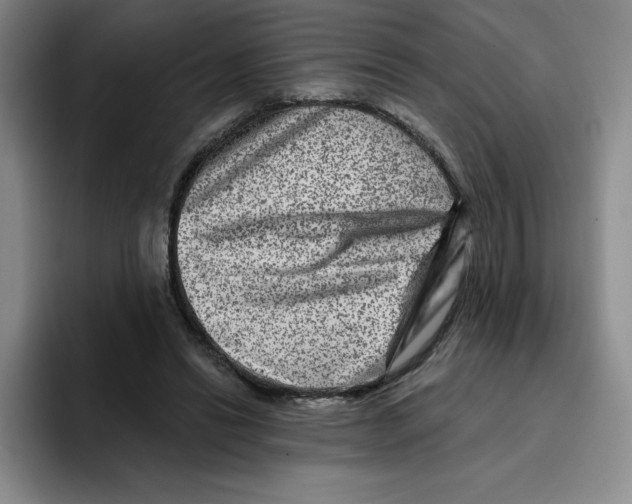 X0000096170446200802151438