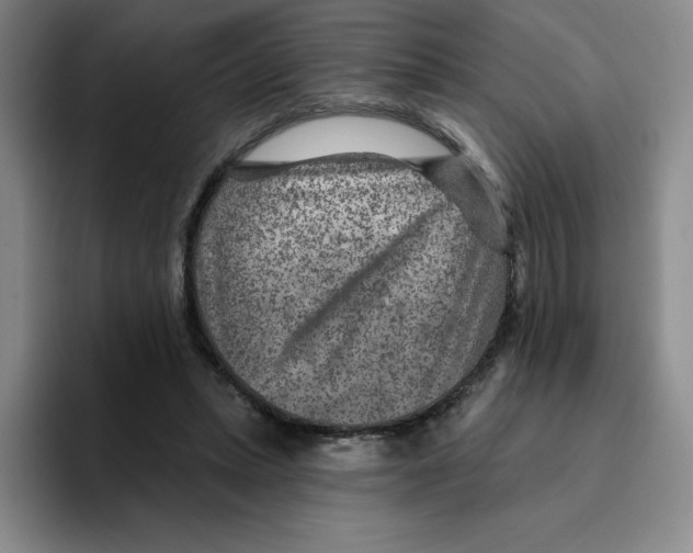 X0000096170447200802151438