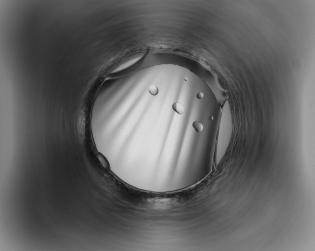 X0000096170448200802151438