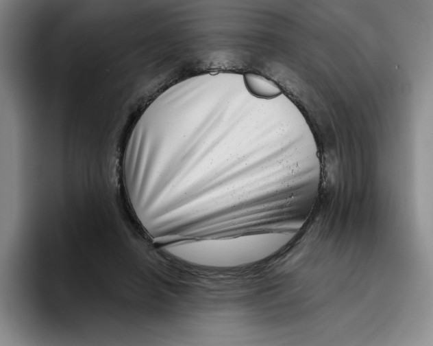 X0000096170450200802151438
