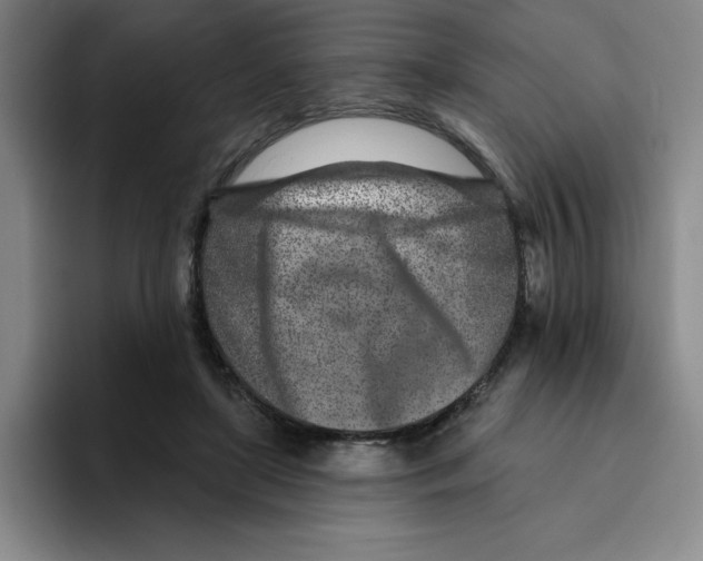 X0000096170451200802151438