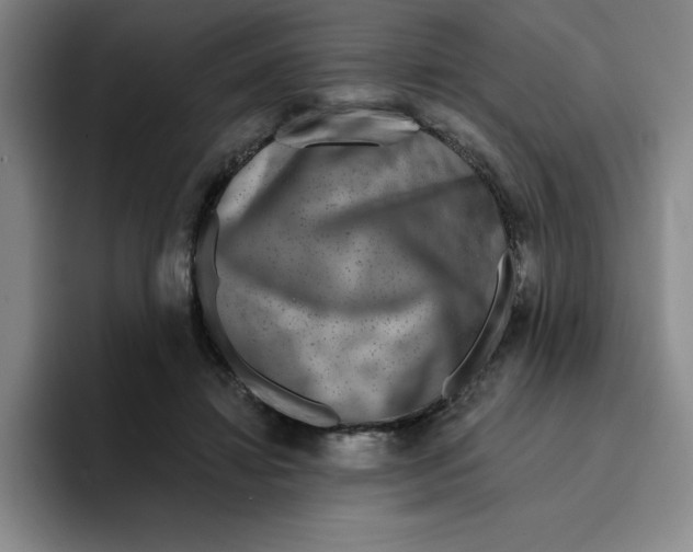 X0000096170452200802151438