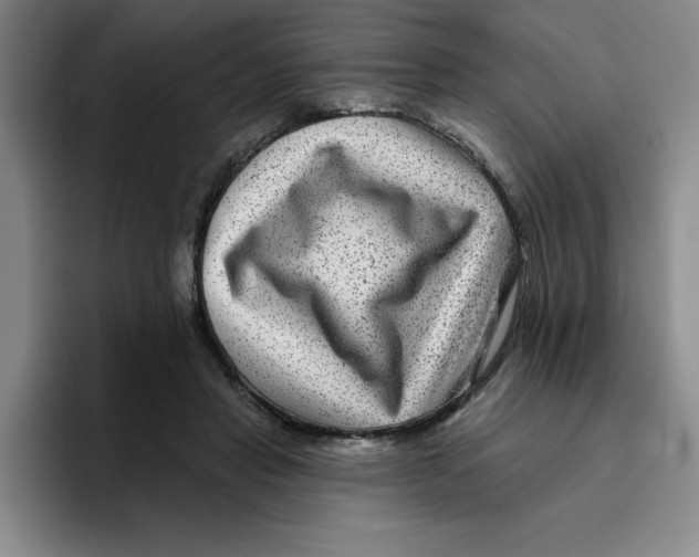 X0000096170453200802151438