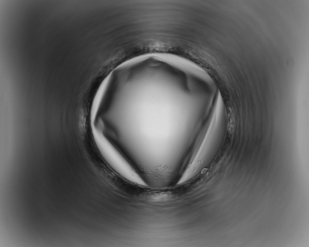 X0000096170456200802151438