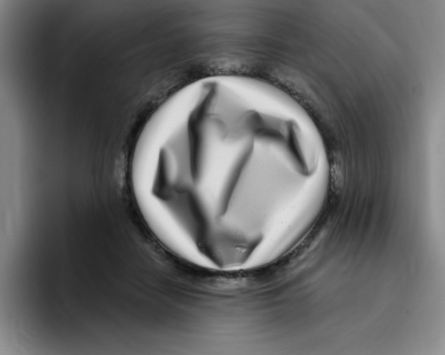X0000096170458200802151438
