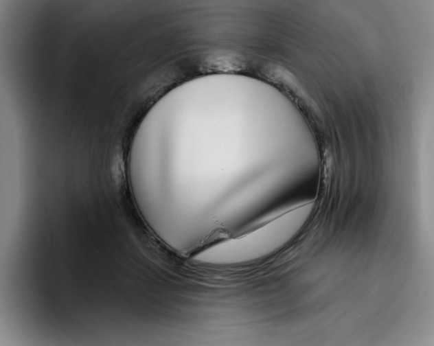 X0000096170459200802151438