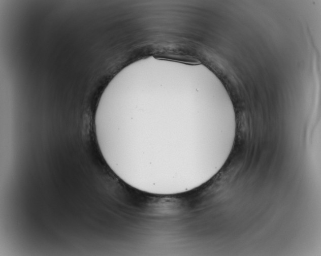 X0000096170463200802151438
