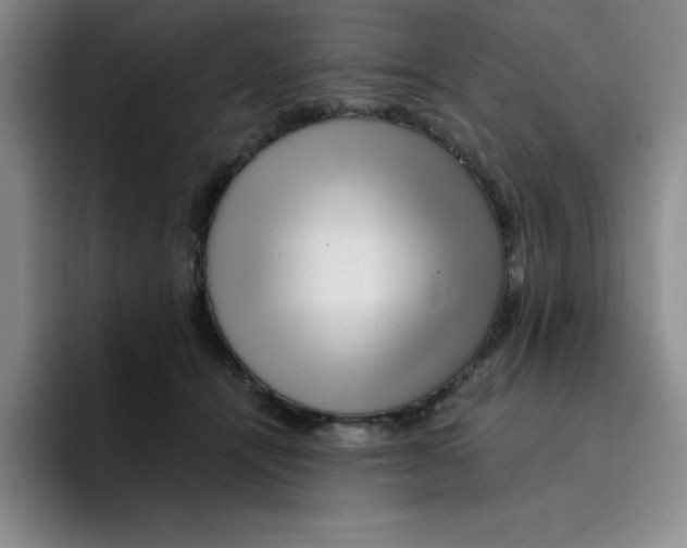 X0000096170464200802151438