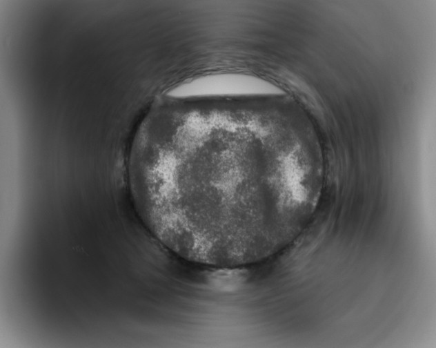 X0000096170465200802151438