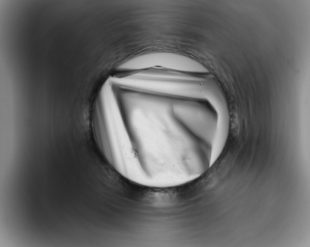 X0000096170466200802151438