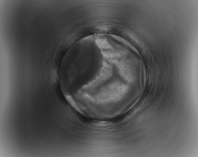 X0000096170467200802151438