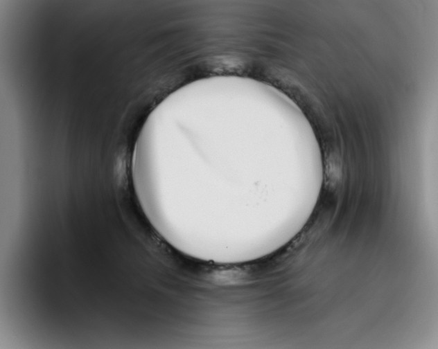 X0000096170468200802151438