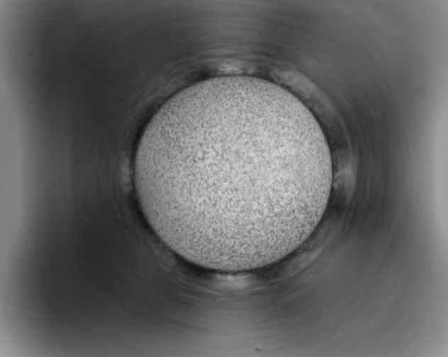 X0000096170469200802151438