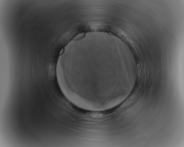 X0000096170471200802151438