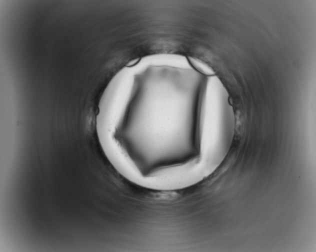 X0000096170474200802151438