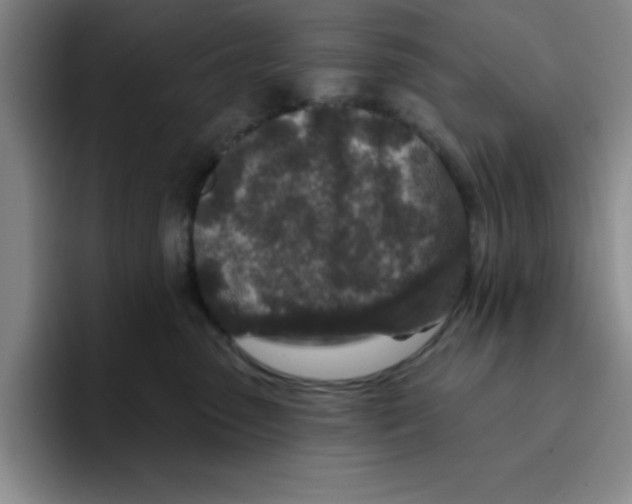 X0000096170475200802151438