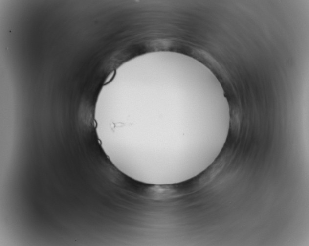 X0000096170477200802151438