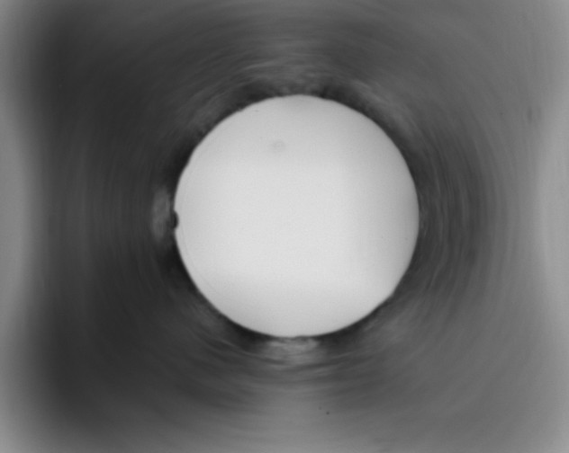 X0000096170480200802151438