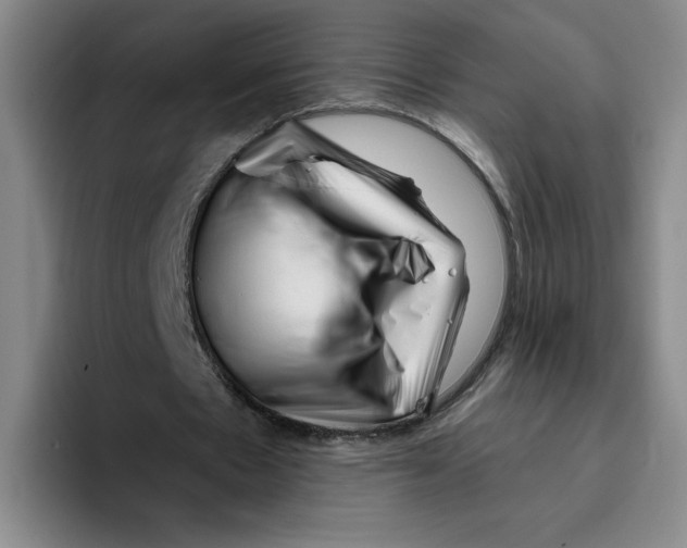 X0000096170481200802151438