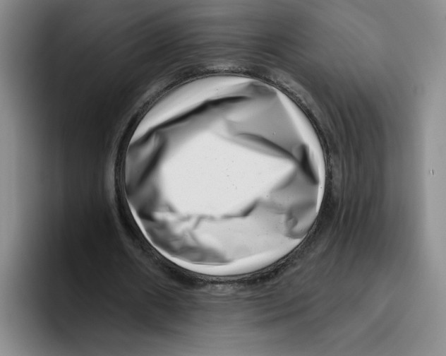 X0000096170482200802151438
