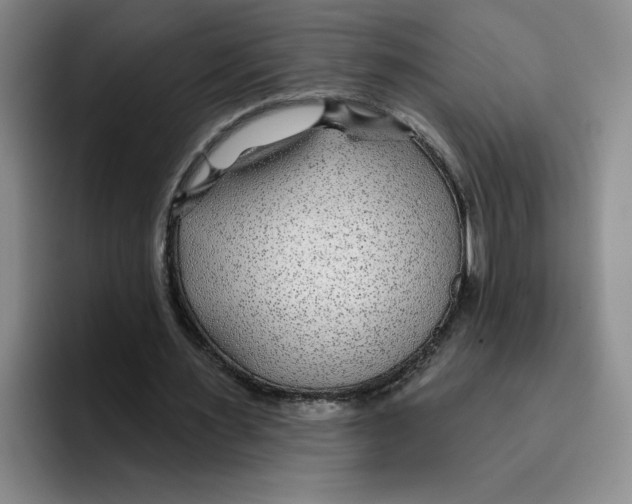 X0000096170483200802151438