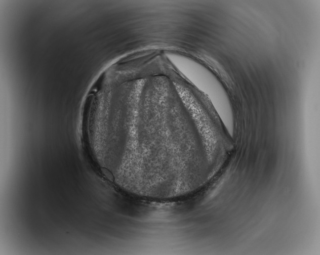 X0000096170484200802151438