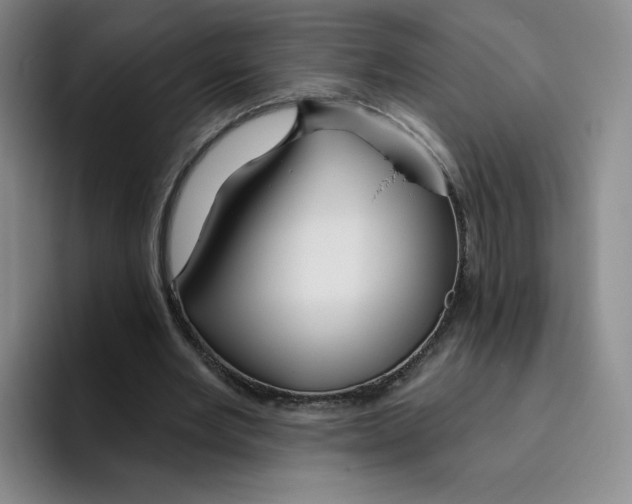 X0000096170485200802151438