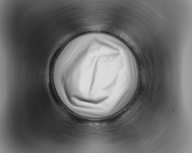 X0000096170486200802151438