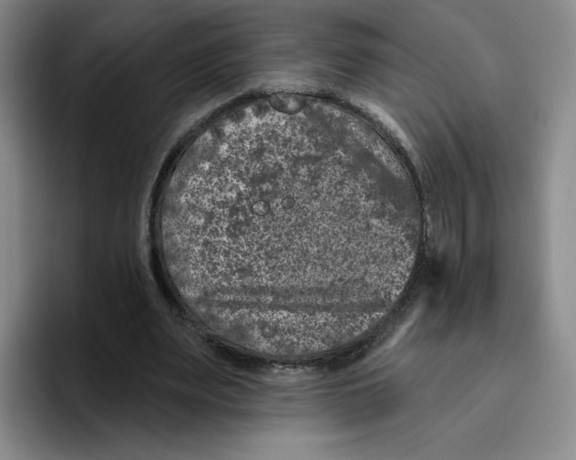 X0000096170487200802151438