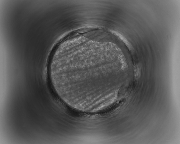 X0000096170488200802151438