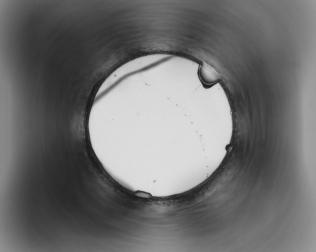 X0000096170489200802151438