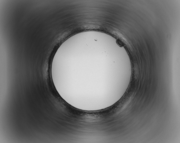 X0000096170490200802151438