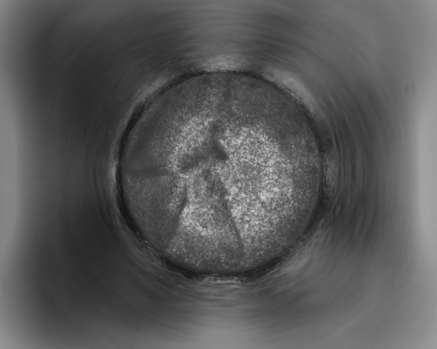 X0000096170491200802151438